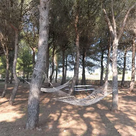 Apartment Alberto Porto Cesareo