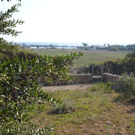 Alberto Porto Cesareo